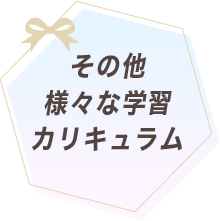 その他様々な学習カリキュラム